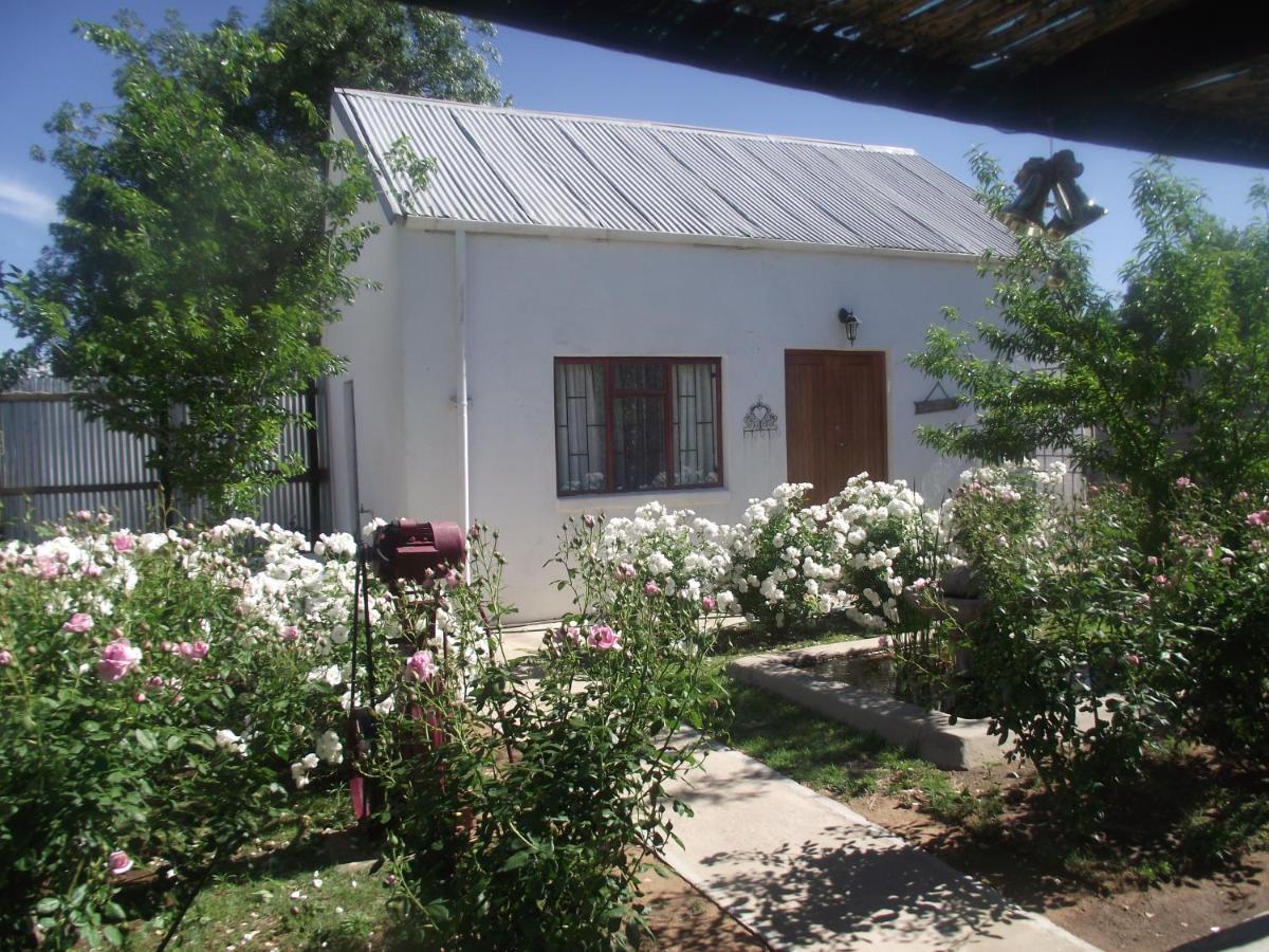 Lavender Rose Bed and Breakfast Bethulie Εξωτερικό φωτογραφία