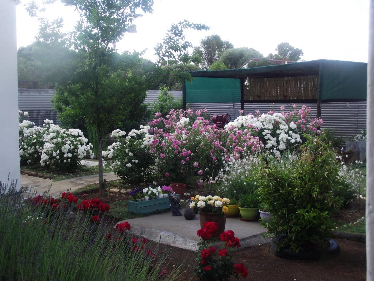 Lavender Rose Bed and Breakfast Bethulie Εξωτερικό φωτογραφία