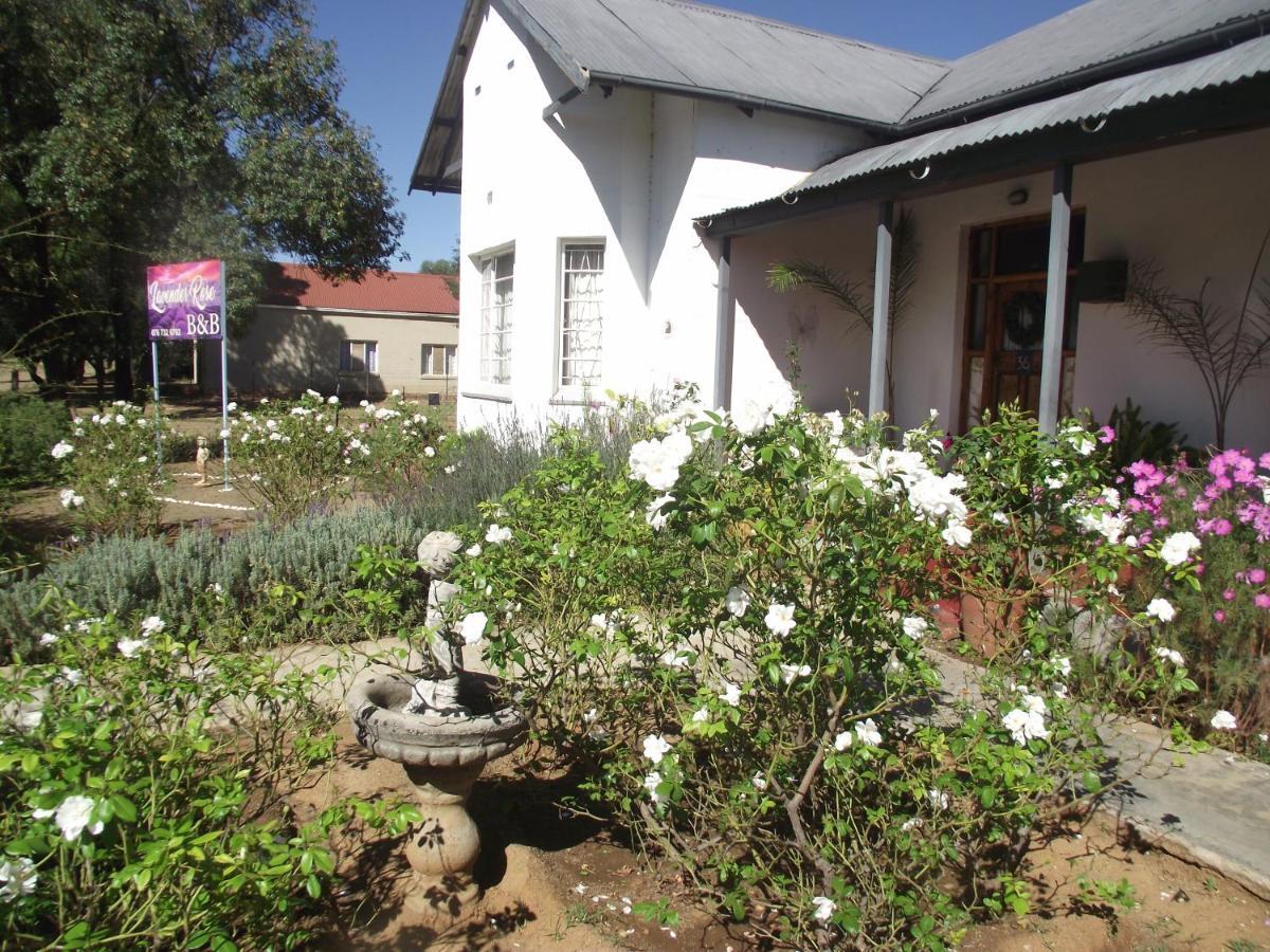 Lavender Rose Bed and Breakfast Bethulie Εξωτερικό φωτογραφία